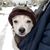 Joslin Garman's profile image