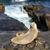 Susan Poulin's profile image