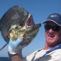 Scott Terry's profile image
