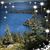 Carolyn Violette Corbin's profile image