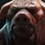 Trevy Porky Mccurry's profile image