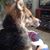 Sue Dailey Zimmerman's profile image
