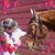 Inge Dawkins's profile image