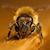 Dennis Miller's profile image