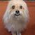 Marcia Hayden Jones's profile image