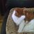 Kelly Mullins-Millhench's profile image