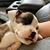 Melissa Meacham Wheatley's profile image