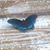 Deb Paden's profile image