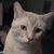 Marty Lawrence's profile image