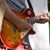 David Newell's profile image