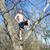 Jared Kleinschmit's profile image