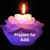 Teresa Segars's profile image