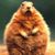 Jason Kraus's profile image