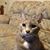 Mike McGarvey's profile image