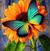 Christina Townsend's profile image
