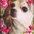 Jane Clark's profile image