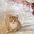 Kathy Curtis's profile image