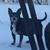 Sue White's profile image