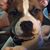 Jennifer Lehman Pauwels's profile image