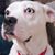 Chris Wojda's profile image