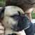Lloyd Howse's profile image