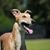 Michelle Trout's profile image