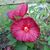 Tammy Richter's profile image