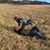 Tommy Merrell's profile image