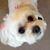 Cathy Russell's profile image