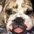 Adam Eastin's profile image