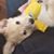 Mary Ann Bernard's profile image