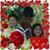 Sandy Lynn's profile image