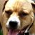 Maria Bembry's profile image