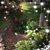 Linda Wuelling's profile image