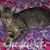 Bonnie Fitch's profile image