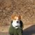 Leslie Allen's profile image