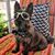 Kathy Tierney's profile image