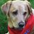 Arbury Johnson's profile image
