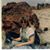 Schen Estel Callahan's profile image