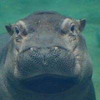 Jennifer West's profile image
