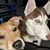 Andrea Spaulding's profile image
