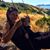 Moriah Buckley's profile image