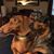 Joyce Davis Robinson's profile image