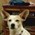 Carol Gutierrez's profile image