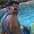 Keone Silva's profile image
