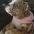 Setrina Wilson's profile image