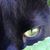 Huda Husain's profile image