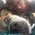 Jonathan Werden's profile image