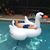 Douglas DeYoung's profile image