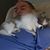 Joseph Curcio's profile image